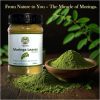 Moringa Leaves Powder (Suhanjna) - Doctor Tree Leaves