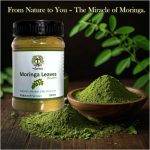 Moringa Leaves Powder (Suhanjna) - Doctor Tree Leaves