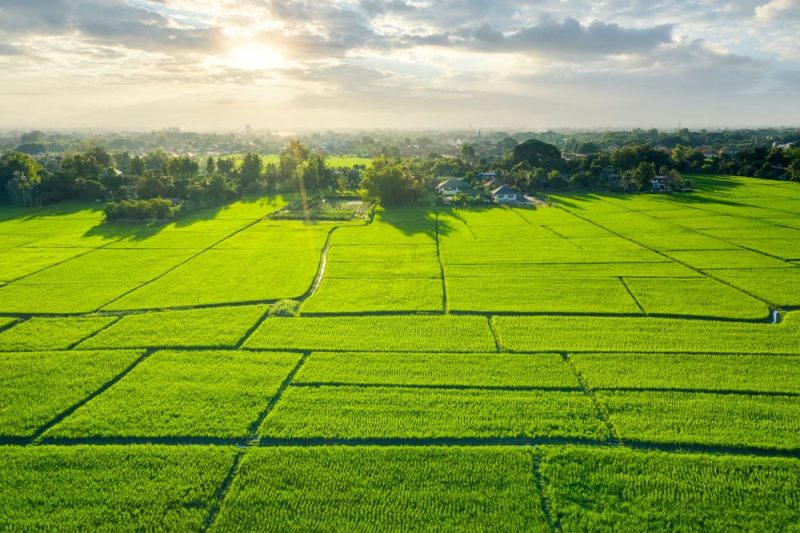 Land Flipping in Pakistan
