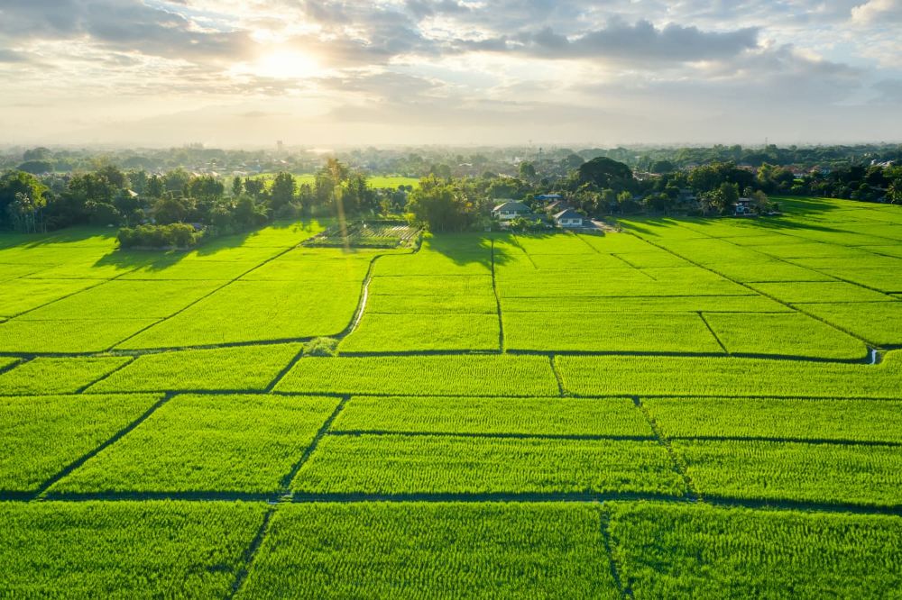 Land Flipping in Pakistan